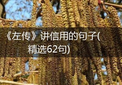 《左传》讲信用的句子(精选62句)