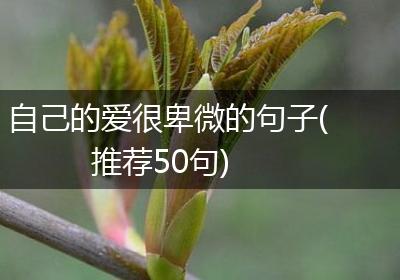 自己的爱很卑微的句子(推荐50句)