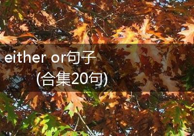 either or句子(合集20句)