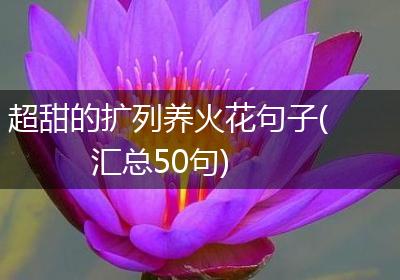 超甜的扩列养火花句子(汇总50句)