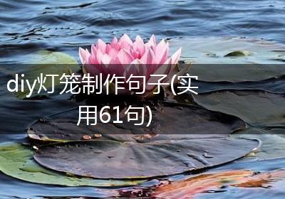 diy灯笼制作句子(实用61句)