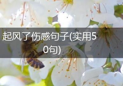 起风了伤感句子(实用50句)