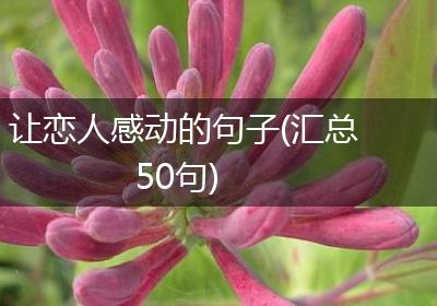 让恋人感动的句子(汇总50句)