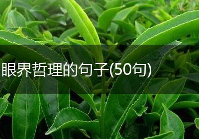 眼界哲理的句子(50句)