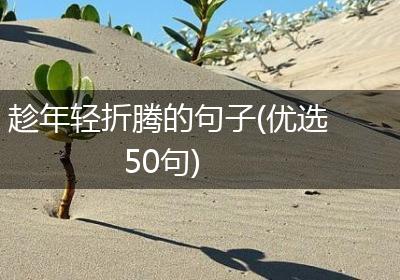 趁年轻折腾的句子(优选50句)