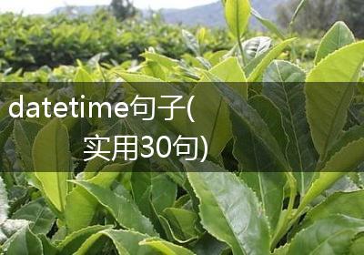 datetime句子(实用30句)