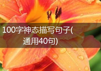 100字神态描写句子(通用40句)