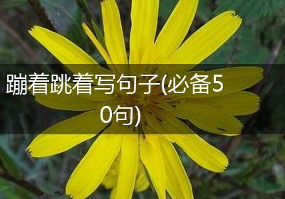 蹦着跳着写句子(必备50句)