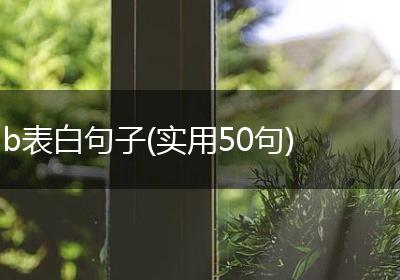 b表白句子(实用50句)