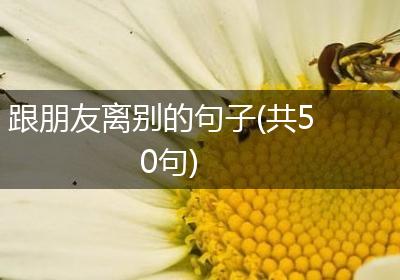 跟朋友离别的句子(共50句)