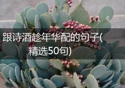 跟诗酒趁年华配的句子(精选50句)