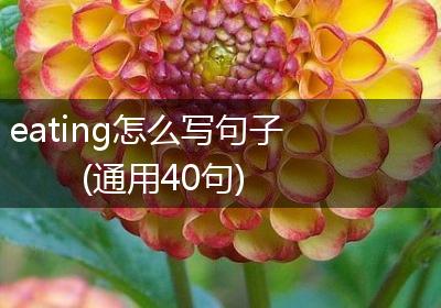 eating怎么写句子(通用40句)