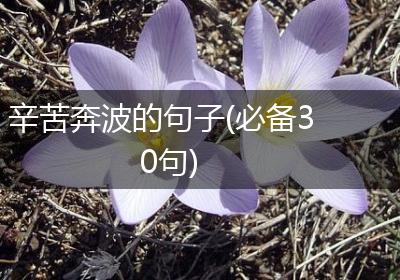 辛苦奔波的句子(必备30句)