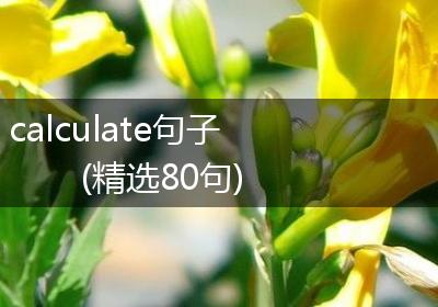 calculate句子(精选80句)