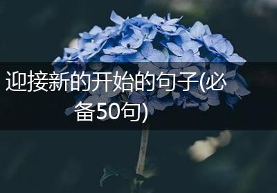 迎接新的开始的句子(必备50句)