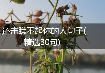还击瞧不起你的人句子(精选30句)