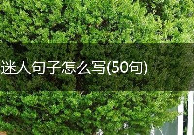 迷人句子怎么写(50句)