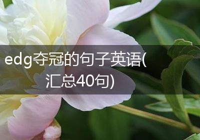 edg夺冠的句子英语(汇总40句)