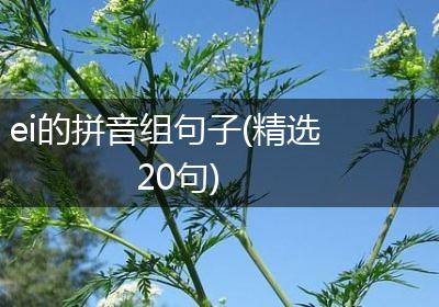 ei的拼音组句子(精选20句)