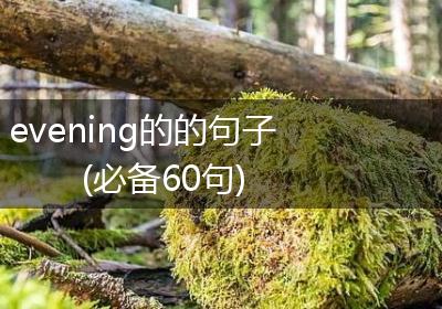 evening的的句子(必备60句)