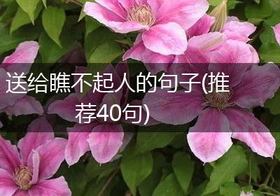 送给瞧不起人的句子(推荐40句)