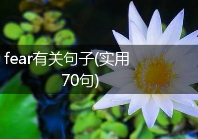 fear有关句子(实用70句)