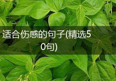 适合伤感的句子(精选50句)
