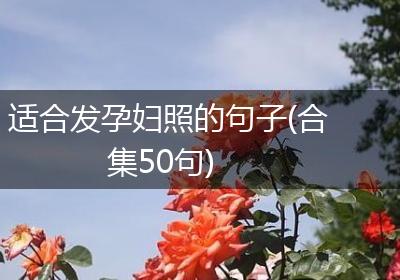 适合发孕妇照的句子(合集50句)