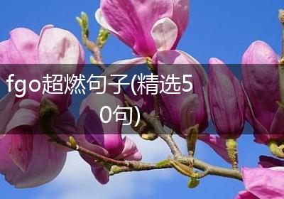 fgo超燃句子(精选50句)