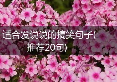 适合发说说的搞笑句子(推荐20句)