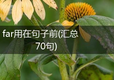 far用在句子前(汇总70句)