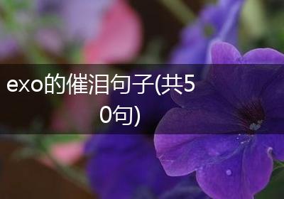 exo的催泪句子(共50句)