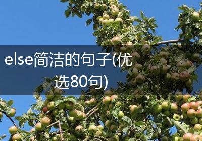 else简洁的句子(优选80句)