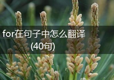 for在句子中怎么翻译(40句)