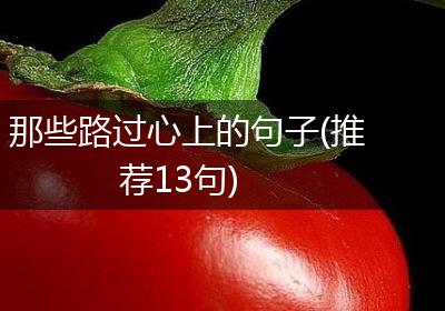 那些路过心上的句子(推荐13句)