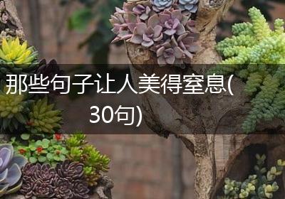 那些句子让人美得窒息(30句)