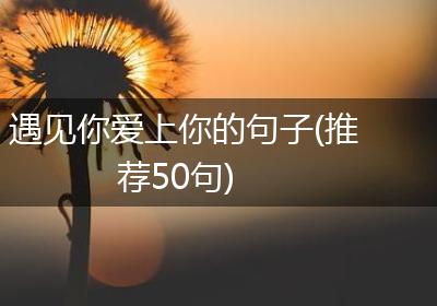 遇见你爱上你的句子(推荐50句)