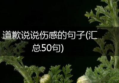 道歉说说伤感的句子(汇总50句)
