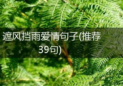遮风挡雨爱情句子(推荐39句)