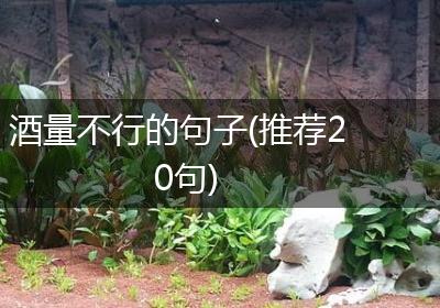 酒量不行的句子(推荐20句)