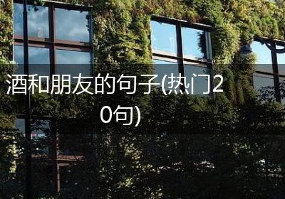 酒和朋友的句子(热门20句)