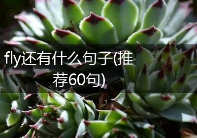 fly还有什么句子(推荐60句)