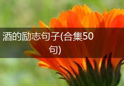 酒的励志句子(合集50句)