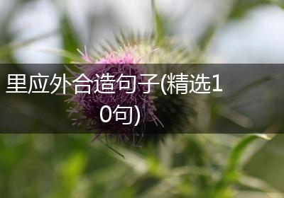 里应外合造句子(精选10句)