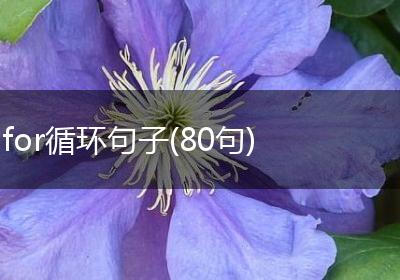 for循环句子(80句)
