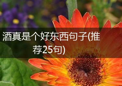 酒真是个好东西句子(推荐25句)