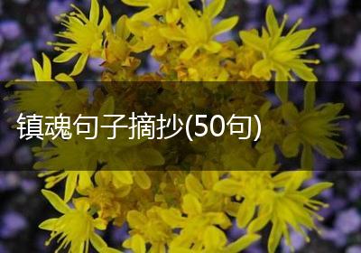 镇魂句子摘抄(50句)