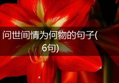 问世间情为何物的句子(6句)