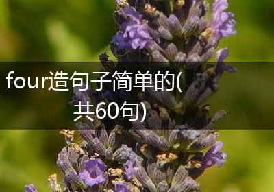 four造句子简单的(共60句)