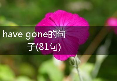 have gone的句子(81句)
